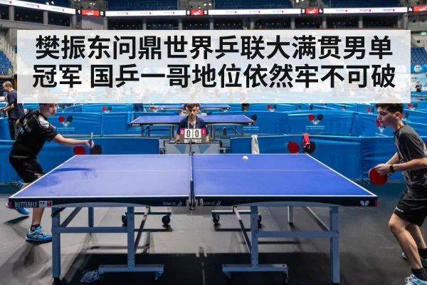 樊振东问鼎世界乒联大满贯男单冠军 国乒一哥地位依然牢不可破