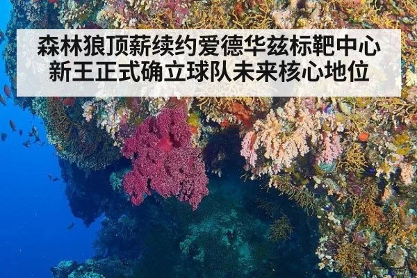 森林狼顶薪续约爱德华兹标靶中心新王正式确立球队未来核心地位